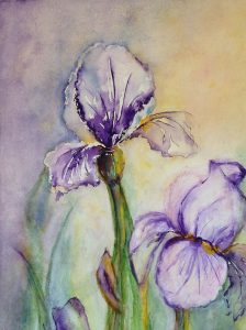 Iris 2