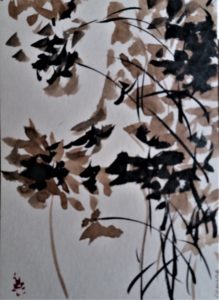 Fleurs Encre et Brou de noix