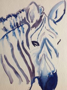 zebre bleu