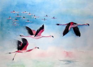 Flamants roses