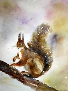 Ecureuil dans-la-neige